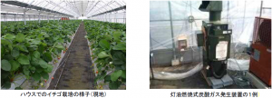 イチゴ栽培ハウス、炭酸ガス発生装置