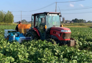 水田における枝豆栽培に力になる収穫機械