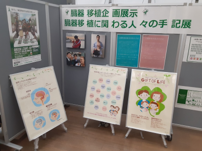 臓器移植企画展示