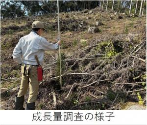 成長量調査の様子