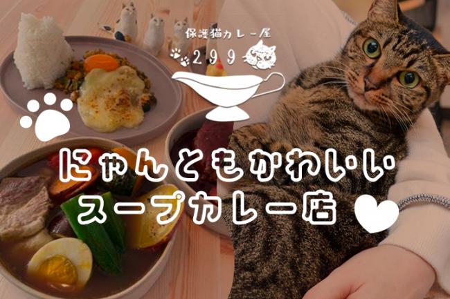 保護猫カレー屋にくきゅうの写真