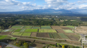 竹田西部３期