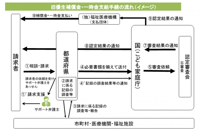 旧優生保護法流れ