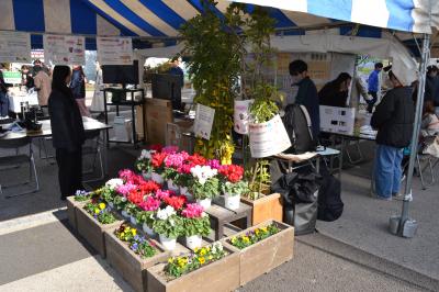 温暖化の影響が懸念されるお花たちの紹介