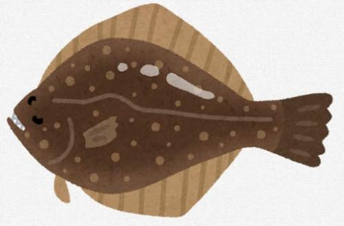 ヒラメのイラストです。