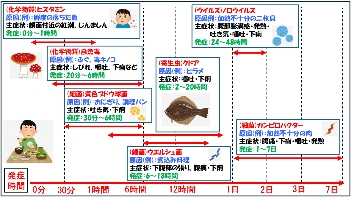 食中毒の原因、発症時間、症状を例示したイラストです。