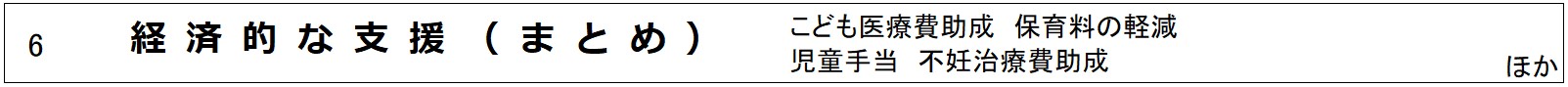 6　経済的な支援