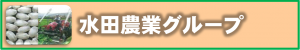 水田
