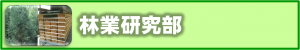 林研