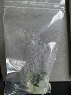 ウイルスフリー苗