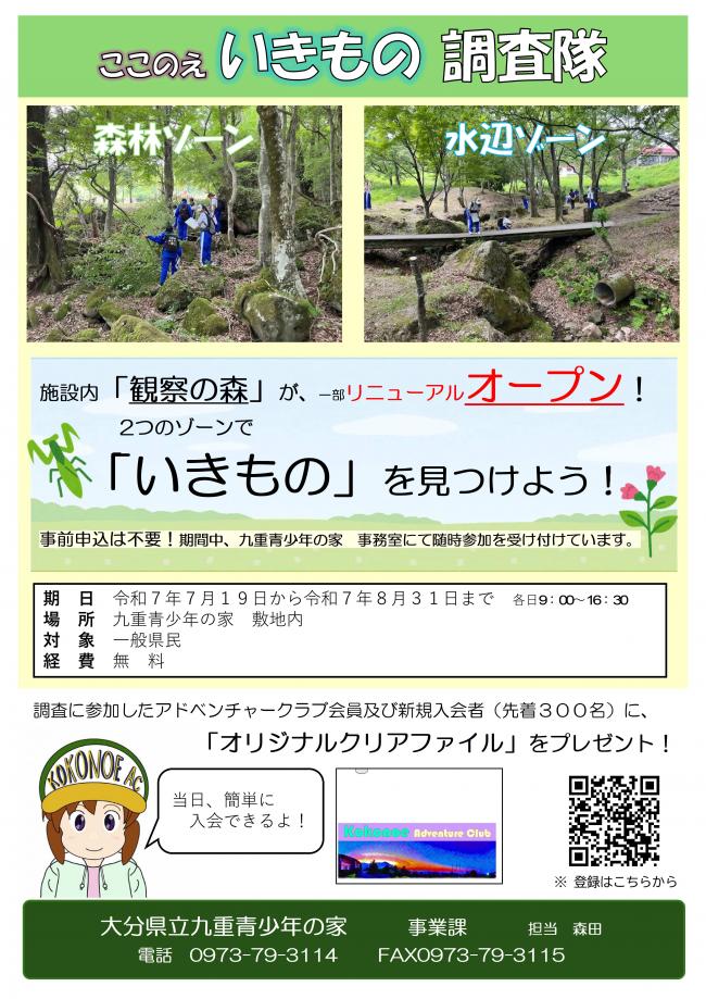 ちらし