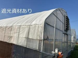 ハウス遮光ありの写真