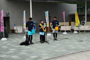 おおいた夏の事故ゼロ開始式１