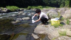 調査の写真