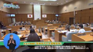 R5.3定