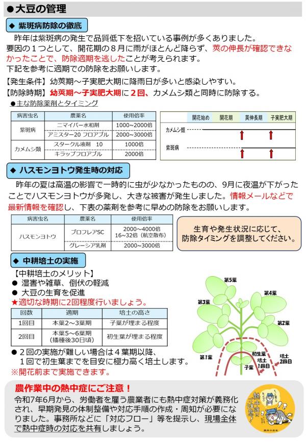 大豆の生育と管理