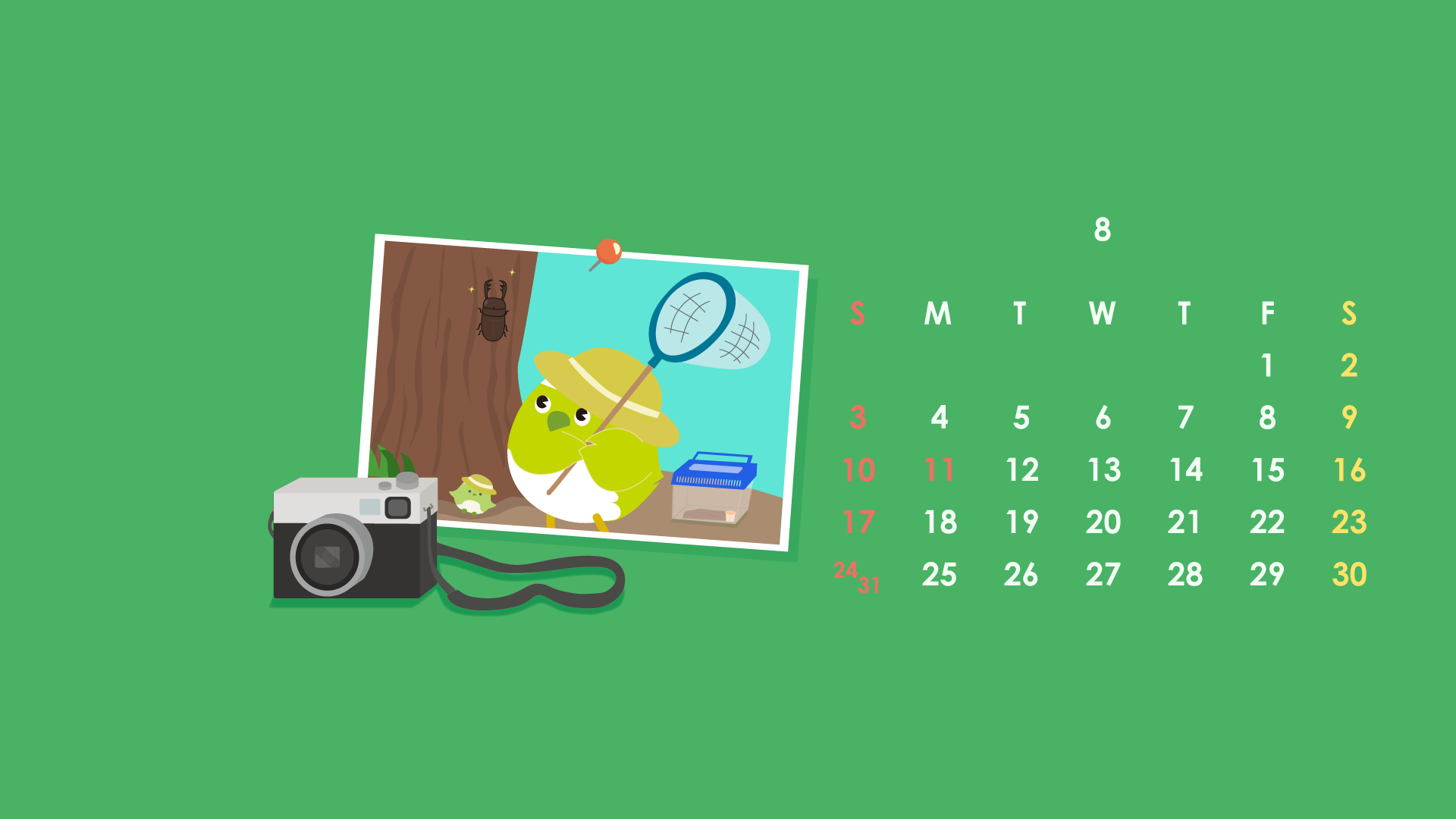 めじろん壁紙８月