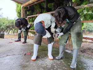 研修の様子