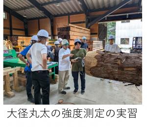実習の様子
