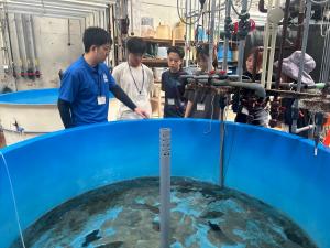 インターンの様子