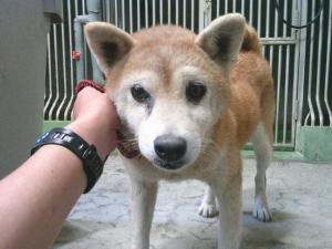 表示できません。