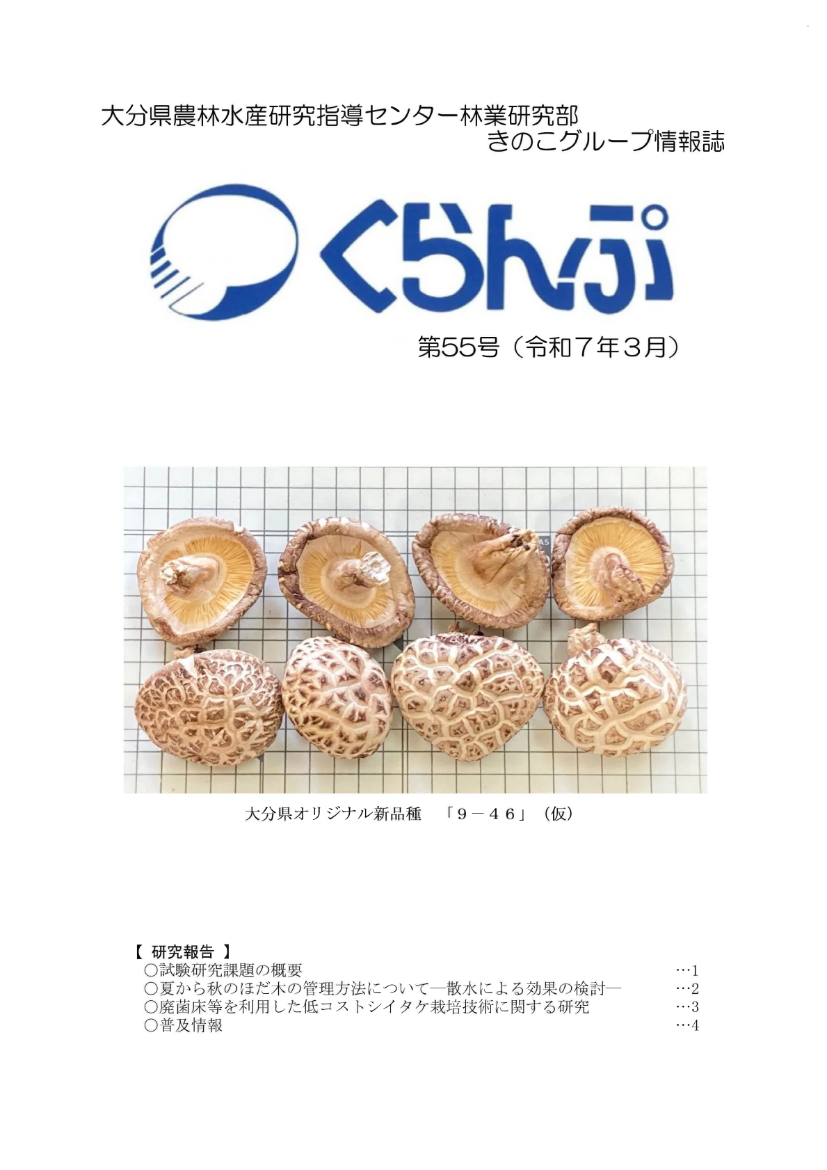 くらんぷ第５５号