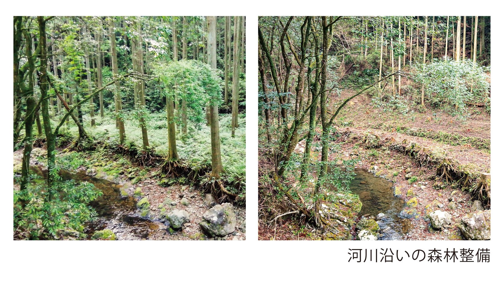 河川沿いの河川沿い