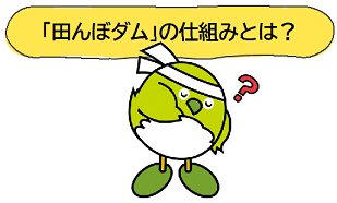 「田んぼダム」の仕組みとは