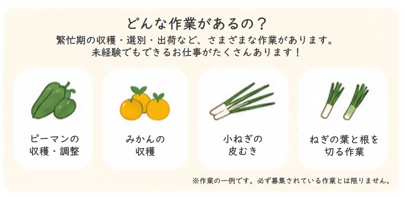 どんな作業があるの