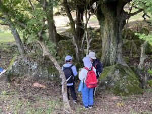 活動5