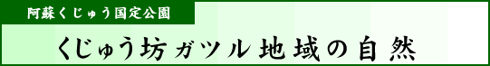 阿蘇くじゅう国立公園 くじゅう坊ガツル地域の自然