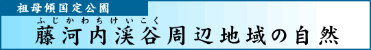 祖母傾国定公園 藤河内渓谷周辺地域の自然