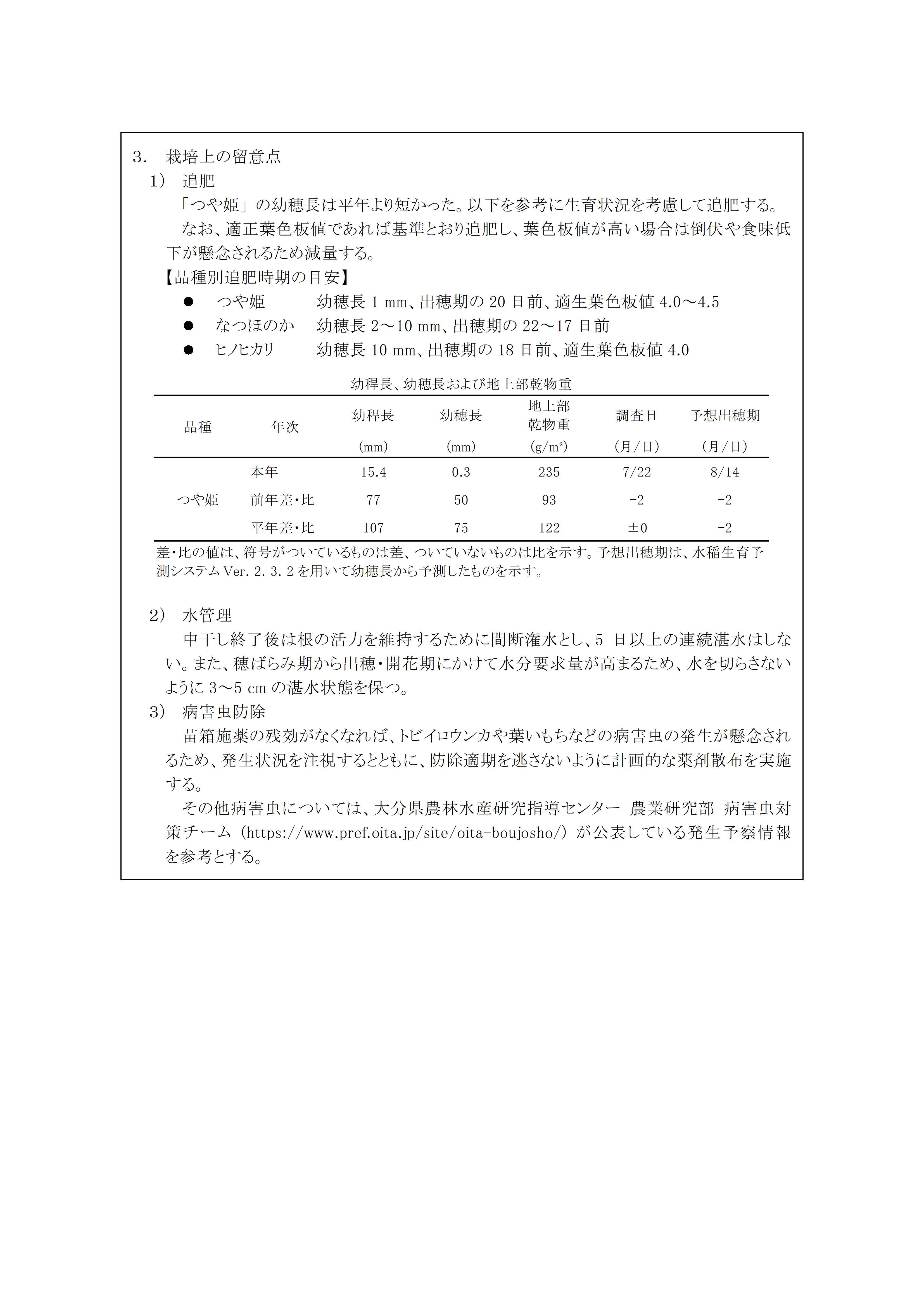 r06rice3-02