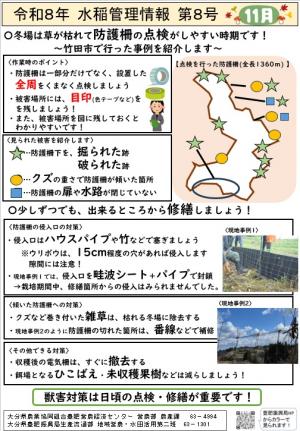 水稲管理情報　１１月