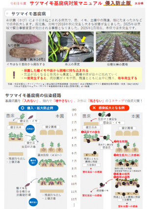 サツマイモ基腐病対策マニュアル（侵入防止版）
