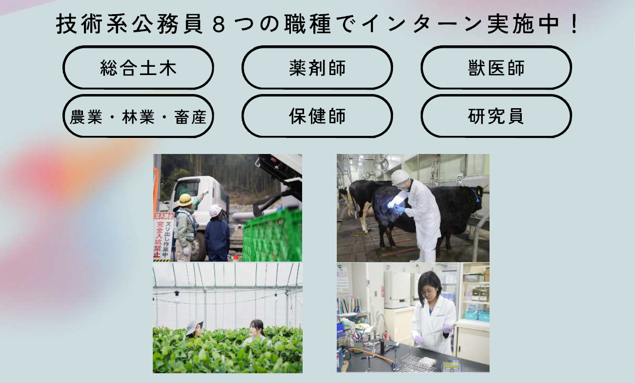 技術職
