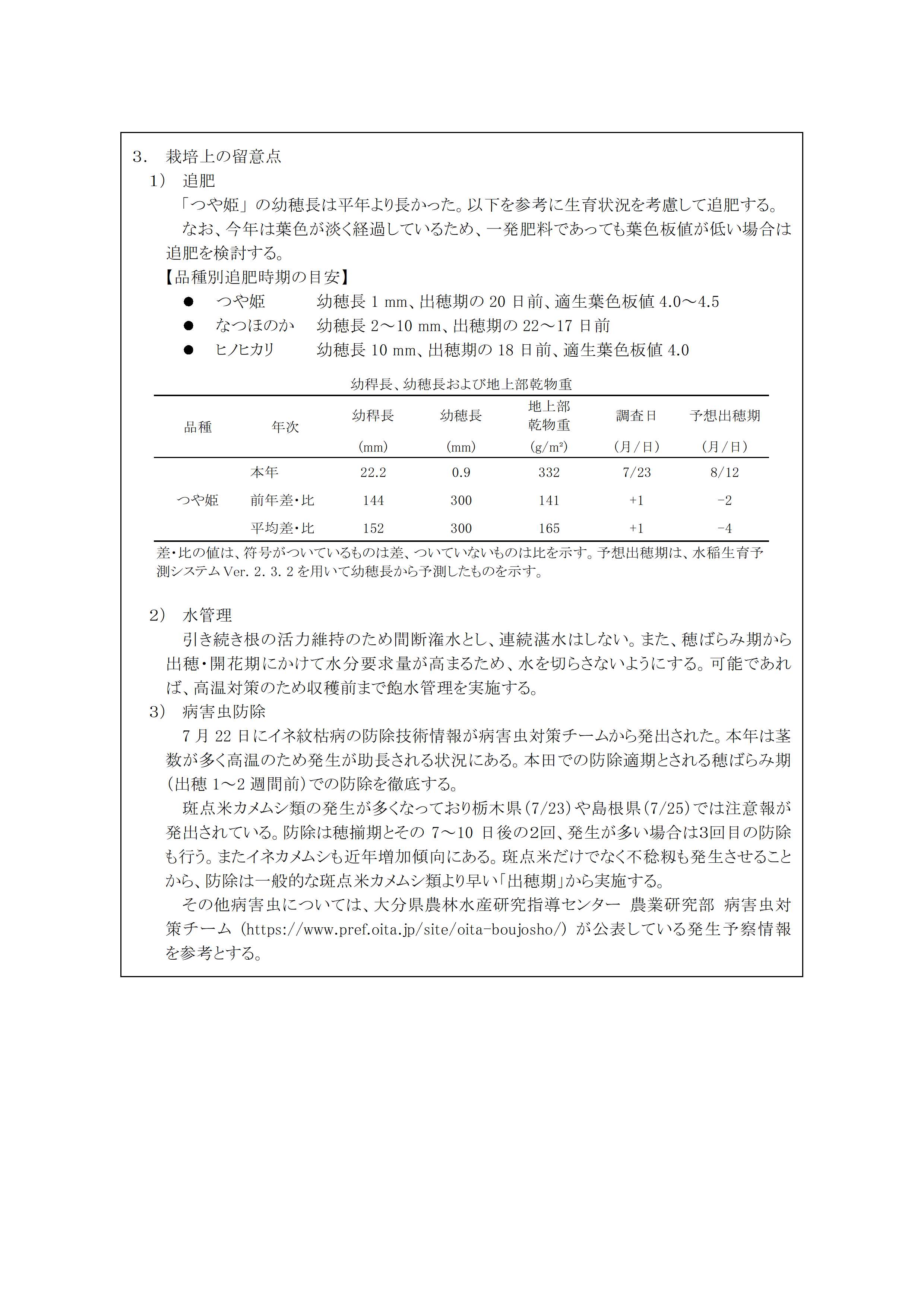r07rice-03