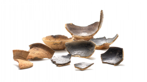 東北系土器（名草台遺跡）