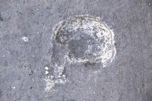 岩瀬遺跡発掘調査速報２