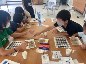 チリメンモンスター探し(大分県農林水産研究指導センター水産研究部提供)