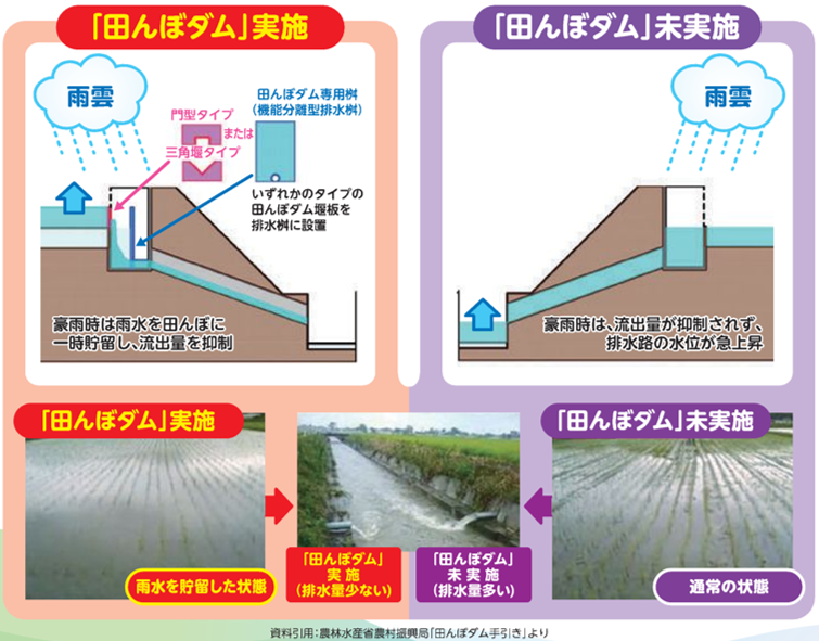 田んぼダム図式化
