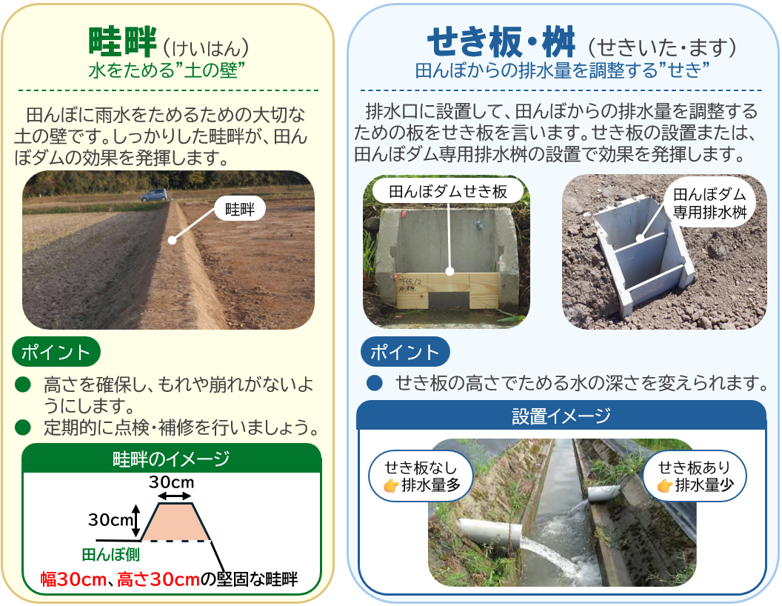 「田んぼダム」に必要な畦畔と桝