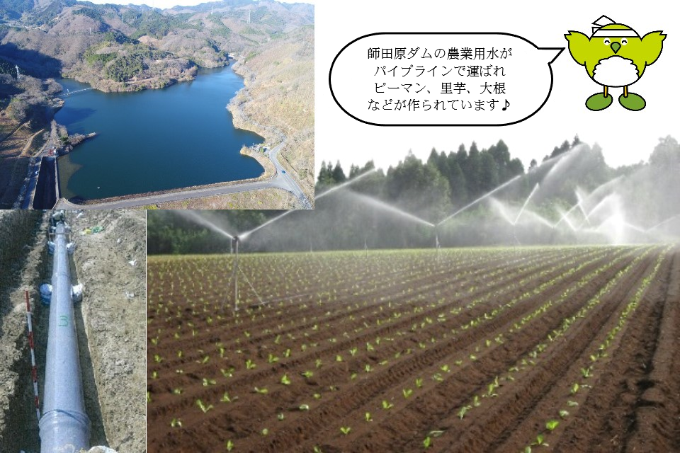 師田原ダムの農業用水による営農状況
