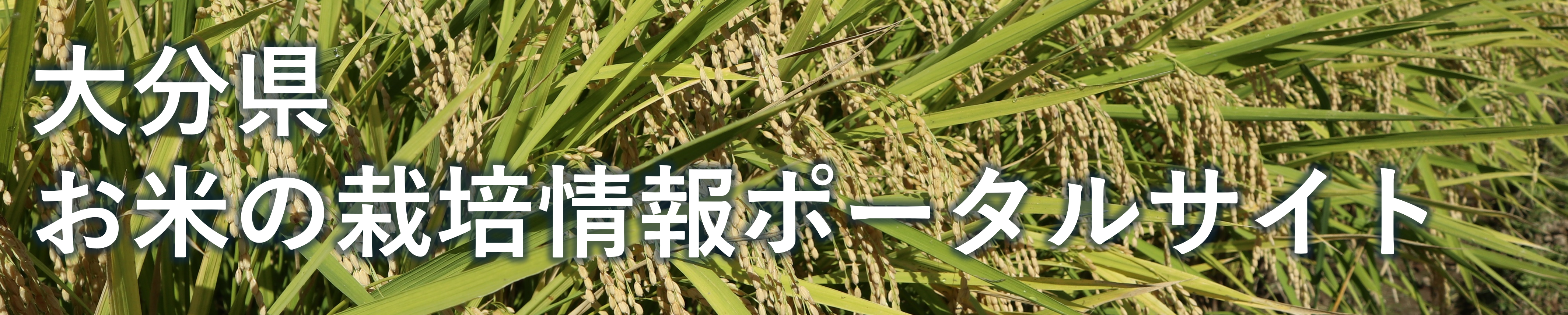 　のタイトル画像